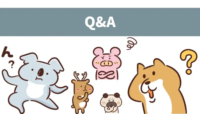 【Q&A】